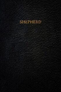 دانلود فیلم شبان Shepherd 2023 دوبله فارسی و بدون سانسور