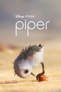 piper-20907-jpg