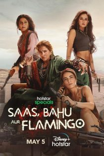 دانلود سریال هندی Saas, Bahu Aur Flamingo 2023 دوبله فارسی بدون سانسور