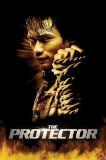 دانلود فیلم خارجی The Protector 2005 دوبله فارسی بدون سانسور