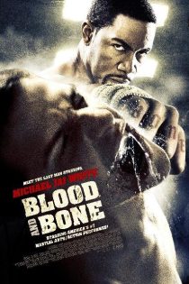 دانلود فیلم Blood and Bone 2009 دوبله فارسی