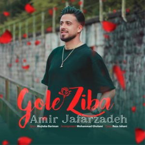 Amir-Jafarzade-Gole-Ziba