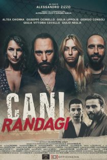 دانلود فیلم Cani randagi 2023 دوبله فارسی بدون حذفیات | دانلود فیلم جدید